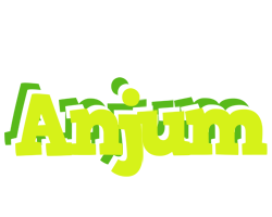 Anjum citrus logo