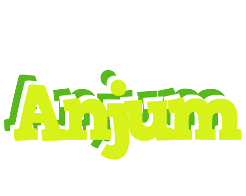 Anjum citrus logo