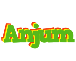 Anjum crocodile logo