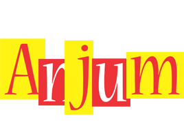 Anjum errors logo