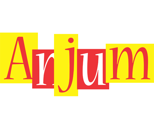 Anjum errors logo