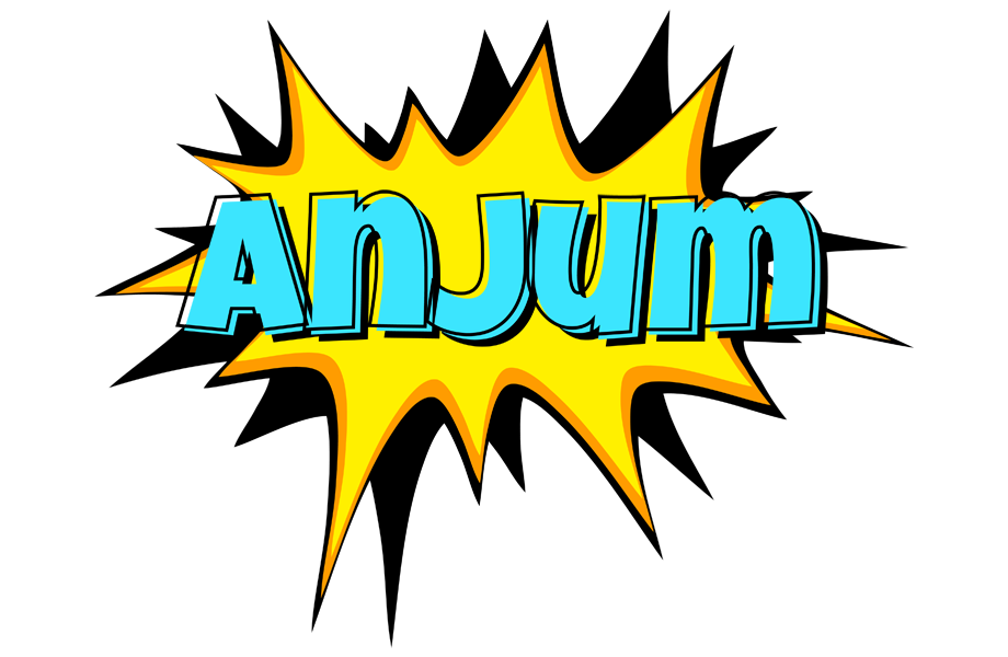 Anjum indycar logo