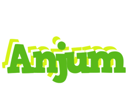 Anjum picnic logo