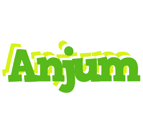 Anjum picnic logo
