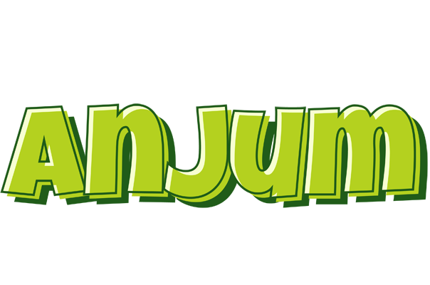 Anjum summer logo