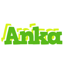 Anka picnic logo