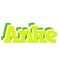 Anke citrus logo