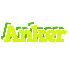 Anker citrus logo