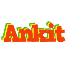 Ankit bbq logo