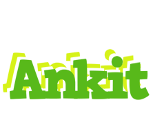 Ankit picnic logo