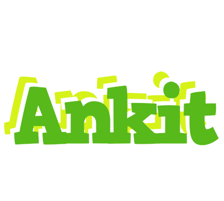 Ankit picnic logo