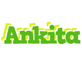 Ankita picnic logo