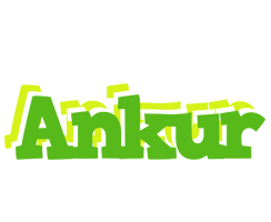 Ankur picnic logo