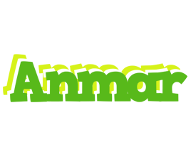 Anmar picnic logo