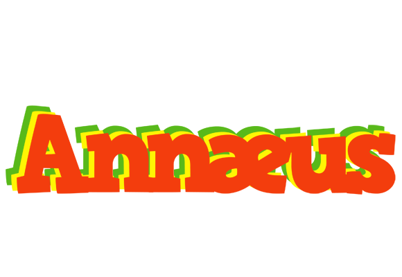 Annæus bbq logo