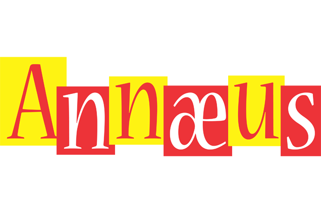 Annæus errors logo