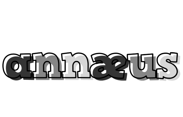 Annæus night logo