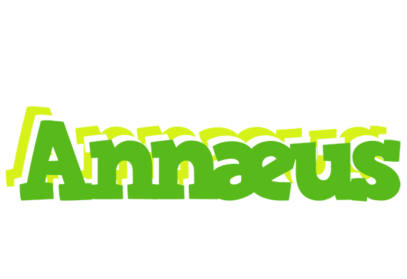 Annæus picnic logo