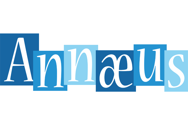 Annæus winter logo