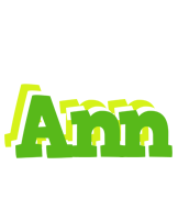 Ann picnic logo