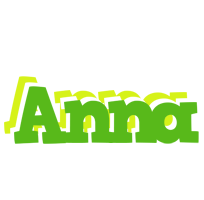Anna picnic logo