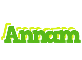 Annam picnic logo