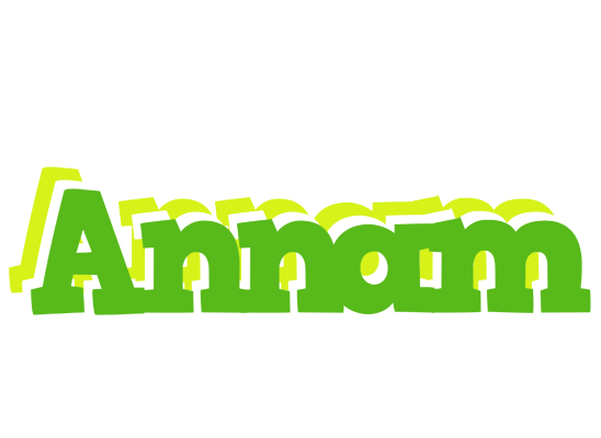 Annam picnic logo