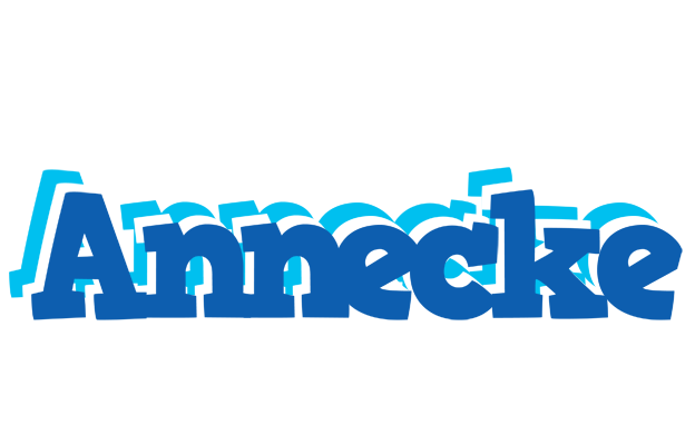 Annecke business logo