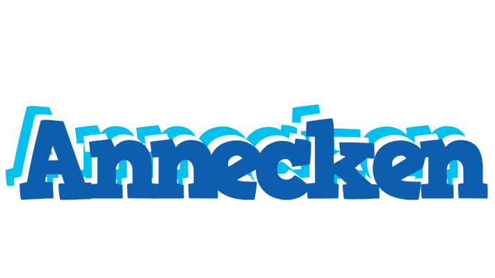 Annecken business logo