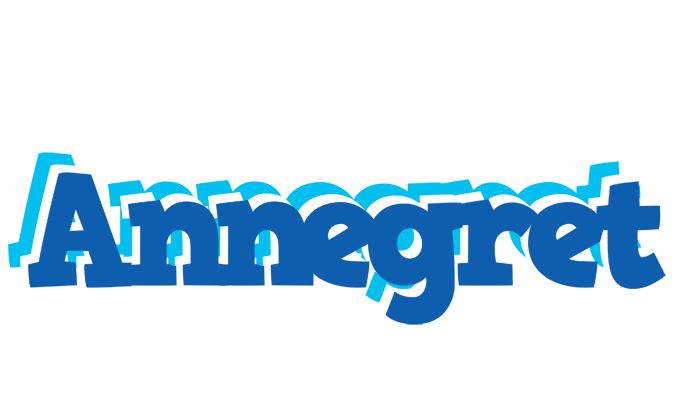 Annegret business logo