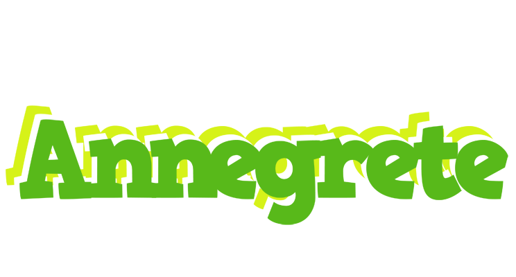 Annegrete picnic logo