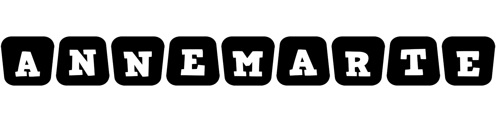 Annemarte racing logo
