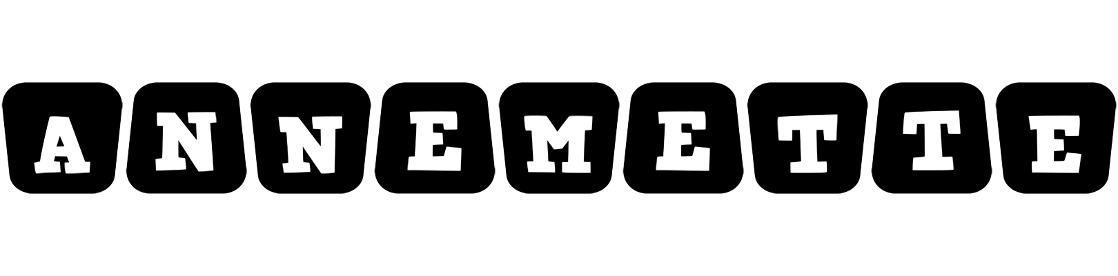 Annemette racing logo