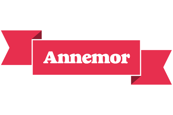 Annemor sale logo