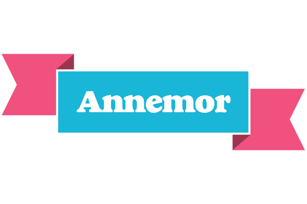 Annemor today logo