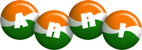 Anni india logo