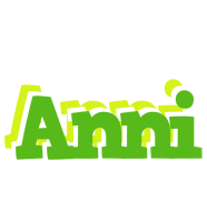 Anni picnic logo