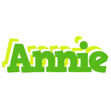 Annie picnic logo