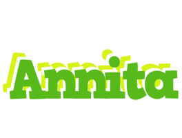 Annita picnic logo