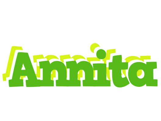 Annita picnic logo