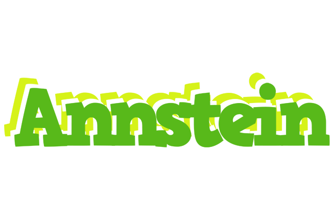 Annstein picnic logo