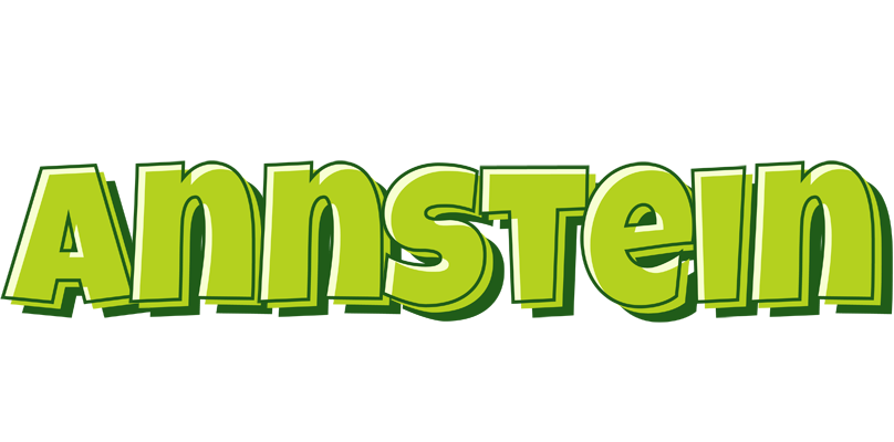 Annstein summer logo