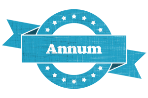 Annum balance logo