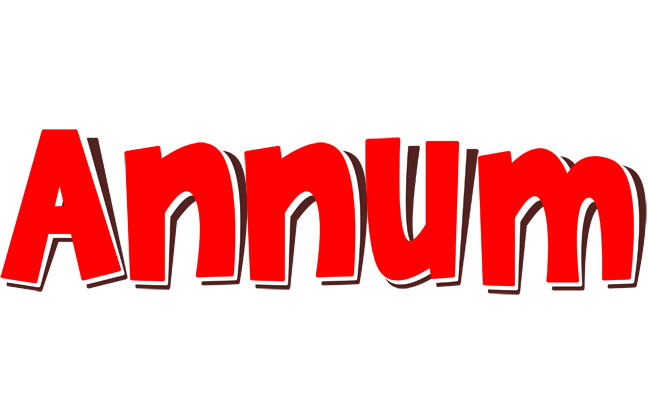 Annum basket logo