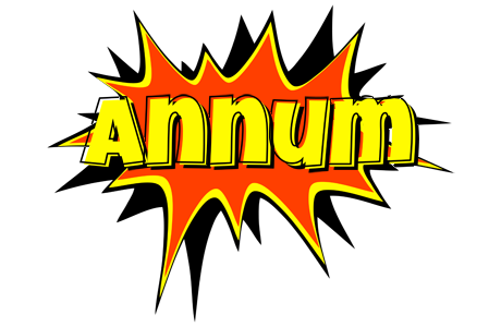 Annum bazinga logo