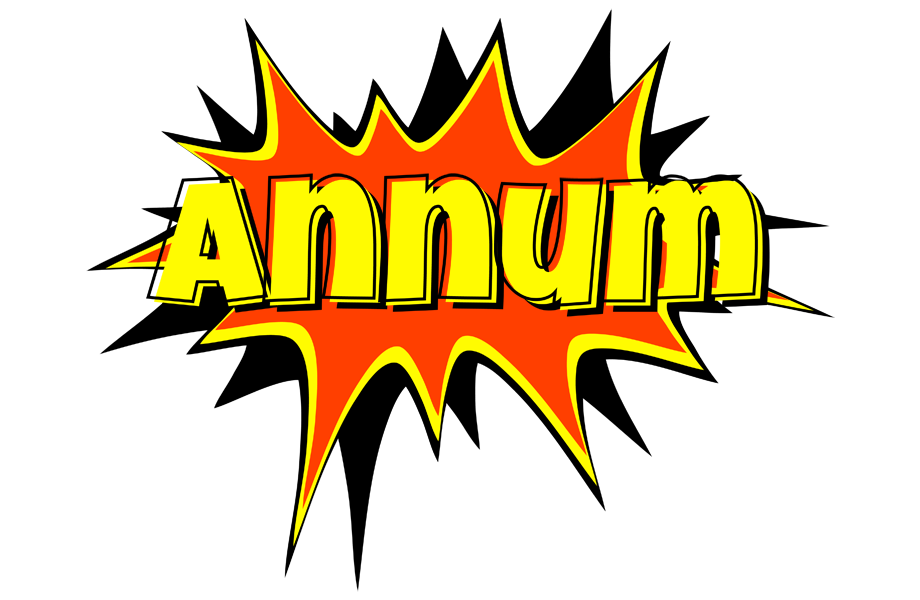 Annum bazinga logo