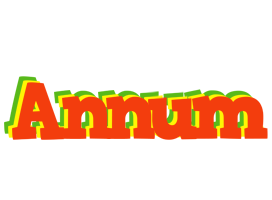 Annum bbq logo