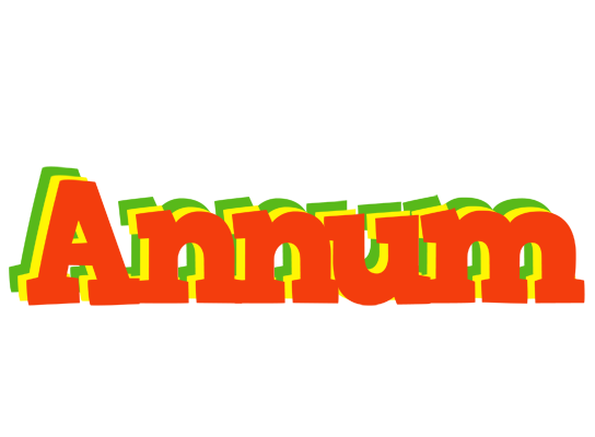 Annum bbq logo