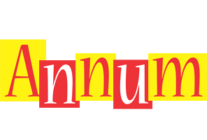 Annum errors logo