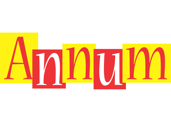 Annum errors logo